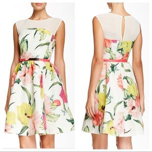 Ted Baker Iberis Flowers at High Tea Print Dress